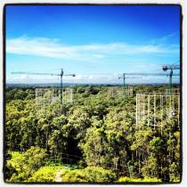 Three of the six rings with their cranes.
