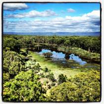 A view from the top. An adjacent ephemeral wetland.