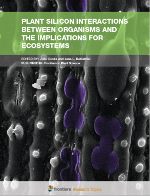 screen-shot-2017-01-28-at-11-27-36