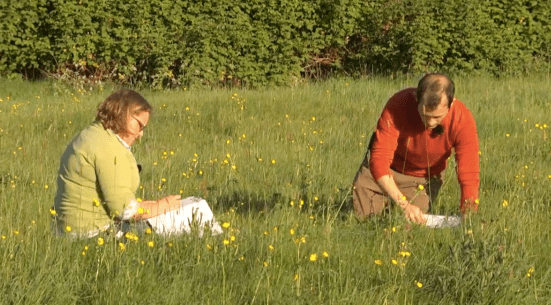 Screen Shot 2017-05-22 at 18.07.00