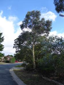 26239302_10215546066951751_7424992808711618394_n